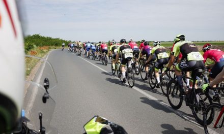 Tura ciclistă „Bartók” Timișoara–Szeged ajunge la ediția a V-a – Amatorii pot pedala cât doresc, cu opriri culturale pe traseu