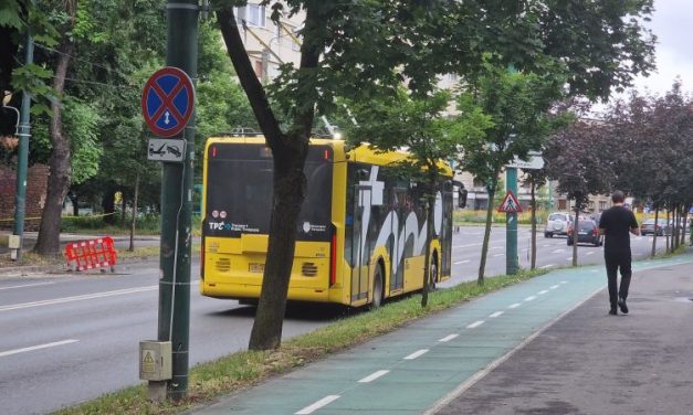 Licitația Primăriei Timișoara pentru 10 troleibuze noi a atras două oferte – Declarații Ruben Lațcău
