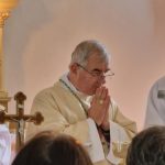 Întâlniri dedicate temei sinodalității în Dieceza de Timișoara, cu participarea E.S. Iosif Csaba Pál