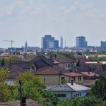 Acțiuni pentru combaterea ambroziei la Timișoara – Nerespectarea acestor obligații legale atrage sancțiuni