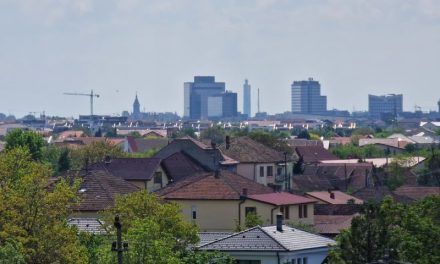 Acțiuni pentru combaterea ambroziei la Timișoara – Nerespectarea acestor obligații legale atrage sancțiuni