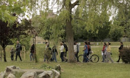 Proiectul Teren comun – peisaje pe Bega continuă. Noi ateliere despre biodiversitate, peisaj și felul în care privim orașul